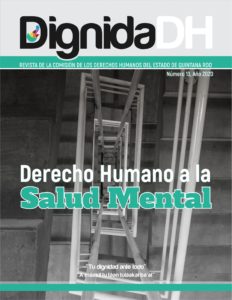 Revista DignidaDH 13