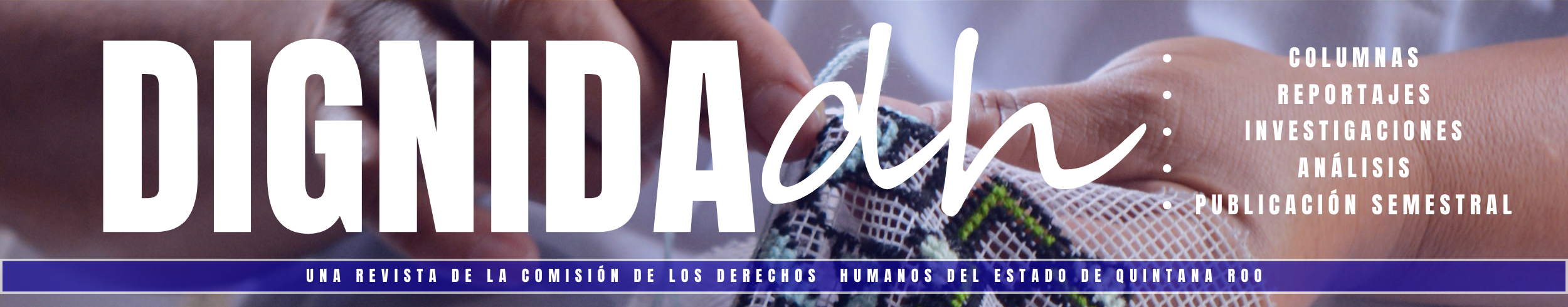 BANNER REVISTA DIGNIDADH 2026