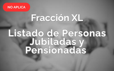 Fracción 40
