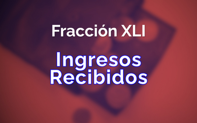 Fracción 41