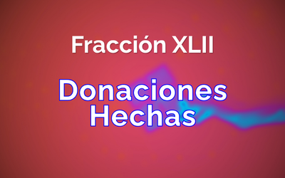Fracción 42