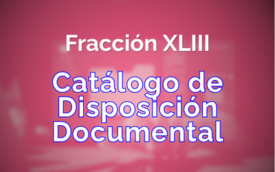 Fracción 43