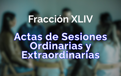 Fracción 44