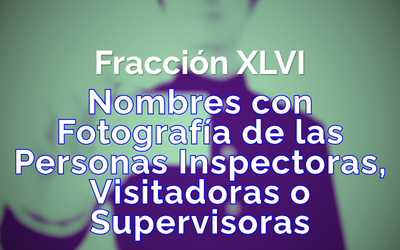 Fracción 46