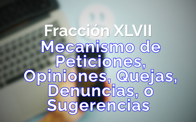 Fracción 47