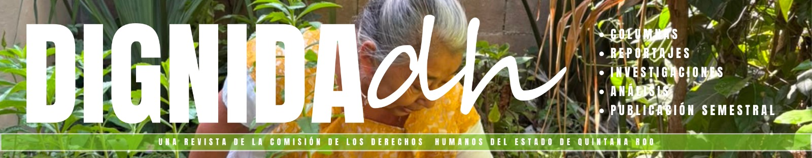 Banner revista DignidaDH 20